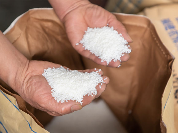 Workers hold a raw material in each hand in the raw material warehouse for comparison