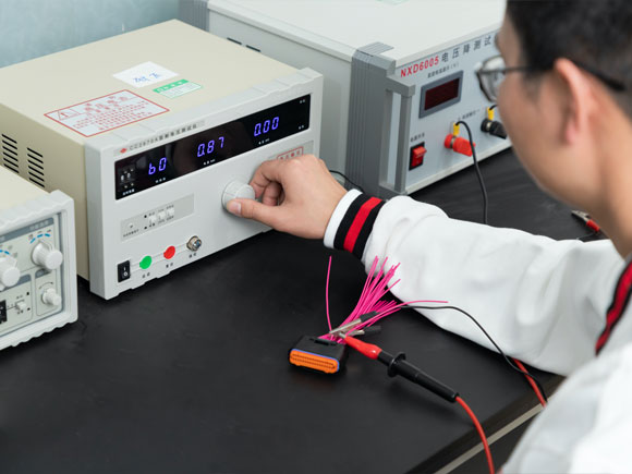 Withstand voltage test