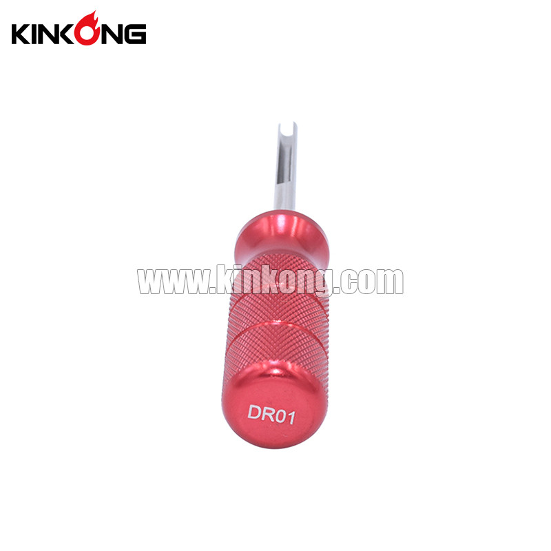 DSC 4610